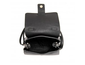 Жіноча шкіряна каркасна сумочка Firenze Italy F-IT-9844A - Royalbag